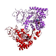 Example Structure of N-acyl-D-glutamate deacylase EC#: 3.5.1.82