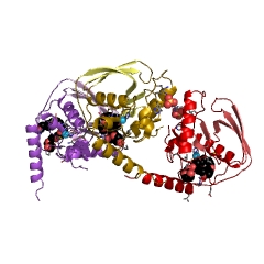 Example Structure of peptide deformylase EC#: 3.5.1.88