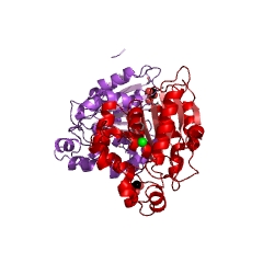 Example Structure of arylformamidase EC#: 3.5.1.9