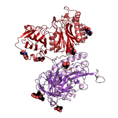 Example Structure of pantetheine hydrolase EC#: 3.5.1.92