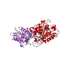 Example Structure of succinylglutamate desuccinylase EC#: 3.5.1.96