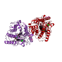 Example Structure of histone deacetylase EC#: 3.5.1.98