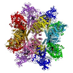 Example Structure of fatty acid amide hydrolase EC#: 3.5.1.99