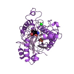Example Structure of barbiturase EC#: 3.5.2.1