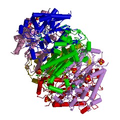 Example Structure of creatininase EC#: 3.5.2.10