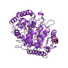 Example Structure of 6-aminohexanoate-cyclic-dimer hydrolase EC#: 3.5.2.12