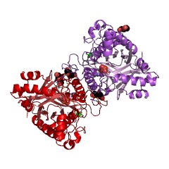 Example Structure of cyanuric acid amidohydrolase EC#: 3.5.2.15