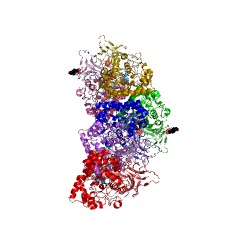 Example Structure of dihydropyrimidinase EC#: 3.5.2.2