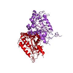 Example Structure of allantoinase EC#: 3.5.2.5