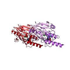 Example Structure of beta-lactamase EC#: 3.5.2.6