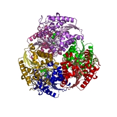 Example Structure of arginase EC#: 3.5.3.1