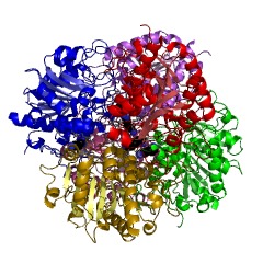 Example Structure of Guanidinopropionase EC#: 3.5.3.17