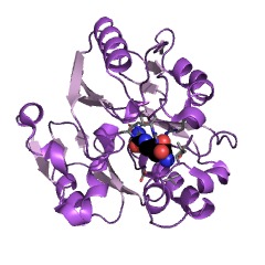 Example Structure of dimethylargininase EC#: 3.5.3.18
