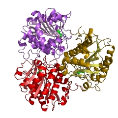 Example Structure of proclavaminate amidinohydrolase EC#: 3.5.3.22