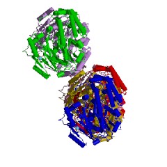 Example Structure of N-succinylarginine dihydrolase EC#: 3.5.3.23