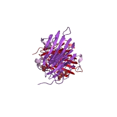Example Structure of (S)-ureidoglycine aminohydrolase EC#: 3.5.3.26