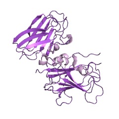 Example Structure of allantoicase EC#: 3.5.3.4