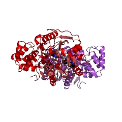 Example Structure of arginine deiminase EC#: 3.5.3.6
