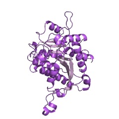 Example Structure of formimidoylglutamase EC#: 3.5.3.8