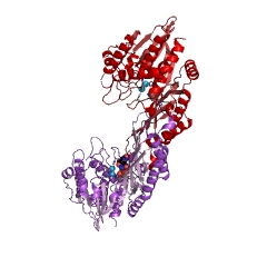 Example Structure of allantoate deiminase EC#: 3.5.3.9