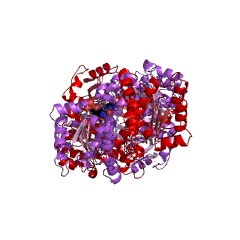 Example Structure of IMP cyclohydrolase EC#: 3.5.4.10