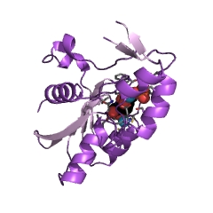 Example Structure of dCMP deaminase EC#: 3.5.4.12