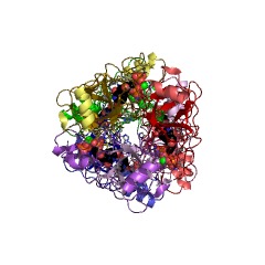 Example Structure of dCTP deaminase EC#: 3.5.4.13