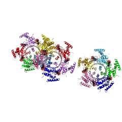 Example Structure of GTP cyclohydrolase I EC#: 3.5.4.16