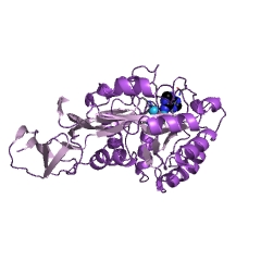 Example Structure of adenine deaminase EC#: 3.5.4.2