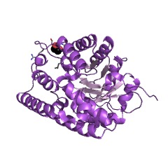 Example Structure of 1-pyrroline-4-hydroxy-2-carboxylate deaminase EC#: 3.5.4.22