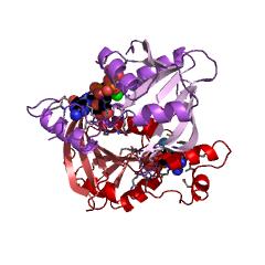 Example Structure of GTP cyclohydrolase II EC#: 3.5.4.25
