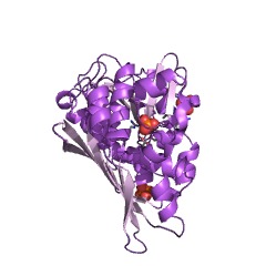 Example Structure of methenyltetrahydromethanopterin cyclohydrolase EC#: 3.5.4.27