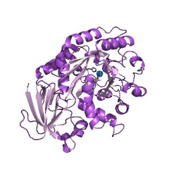 Example Structure of S-adenosylhomocysteine deaminase EC#: 3.5.4.28