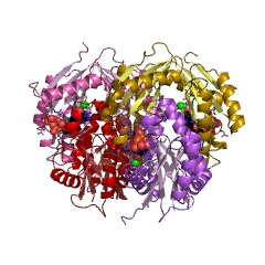 Example Structure of GTP cyclohydrolase IIa EC#: 3.5.4.29