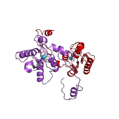 Example Structure of guanine deaminase EC#: 3.5.4.3