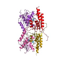 Example Structure of tRNA(adenine34) deaminase EC#: 3.5.4.33