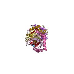 Example Structure of mRNA(cytosine6666) deaminase EC#: 3.5.4.36