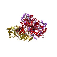 Example Structure of single-stranded DNA cytosine deaminase EC#: 3.5.4.38