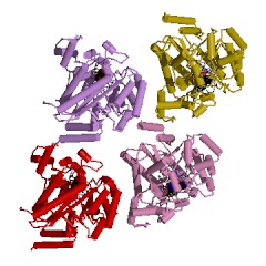 Example Structure of adenosine deaminase EC#: 3.5.4.4