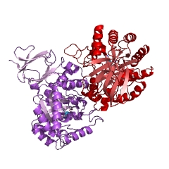 Example Structure of N-isopropylammelide isopropylaminohydrolase EC#: 3.5.4.42