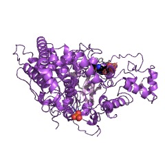 Example Structure of AMP deaminase EC#: 3.5.4.6