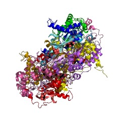 Example Structure of thiocyanate hydrolase EC#: 3.5.5.8