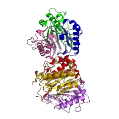 Example Structure of 2-iminobutanoate/2-iminopropanoate deaminase EC#: 3.5.99.10