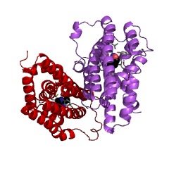 Example Structure of aminopyrimidine aminohydrolase EC#: 3.5.99.2