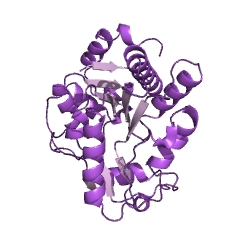 Example Structure of glucosamine-6-phosphate deaminase EC#: 3.5.99.6