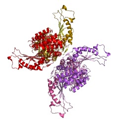 Example Structure of 5-nitroanthranilic acid aminohydrolase EC#: 3.5.99.8