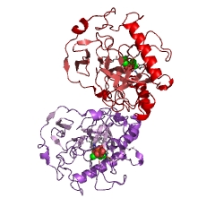 Example Structure of inorganic diphosphatase EC#: 3.6.1.1