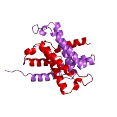 Example Structure of dCTP diphosphatase EC#: 3.6.1.12