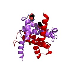 Example Structure of nucleoside-triphosphate diphosphatase EC#: 3.6.1.19