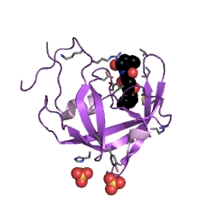 Example Structure of dUTP diphosphatase EC#: 3.6.1.23